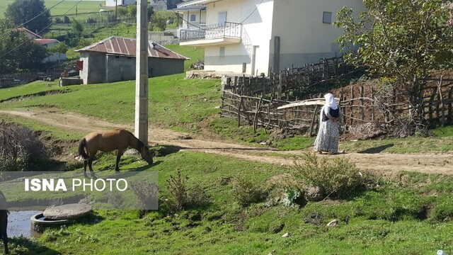 سوگند به کوه های ایستاده در مه تالش/ سفر به «باغو» و «تیلار»